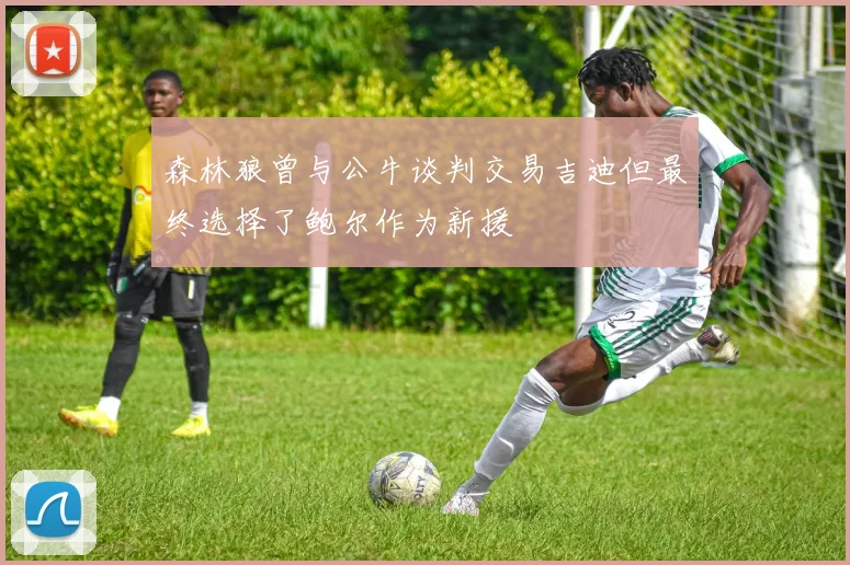 森林狼曾与公牛谈判交易吉迪但最终选择了鲍尔作为新援