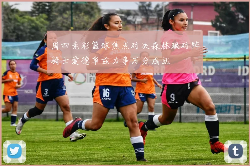 周四竞彩篮球焦点对决森林狼对阵骑士爱德华兹力争万分成就